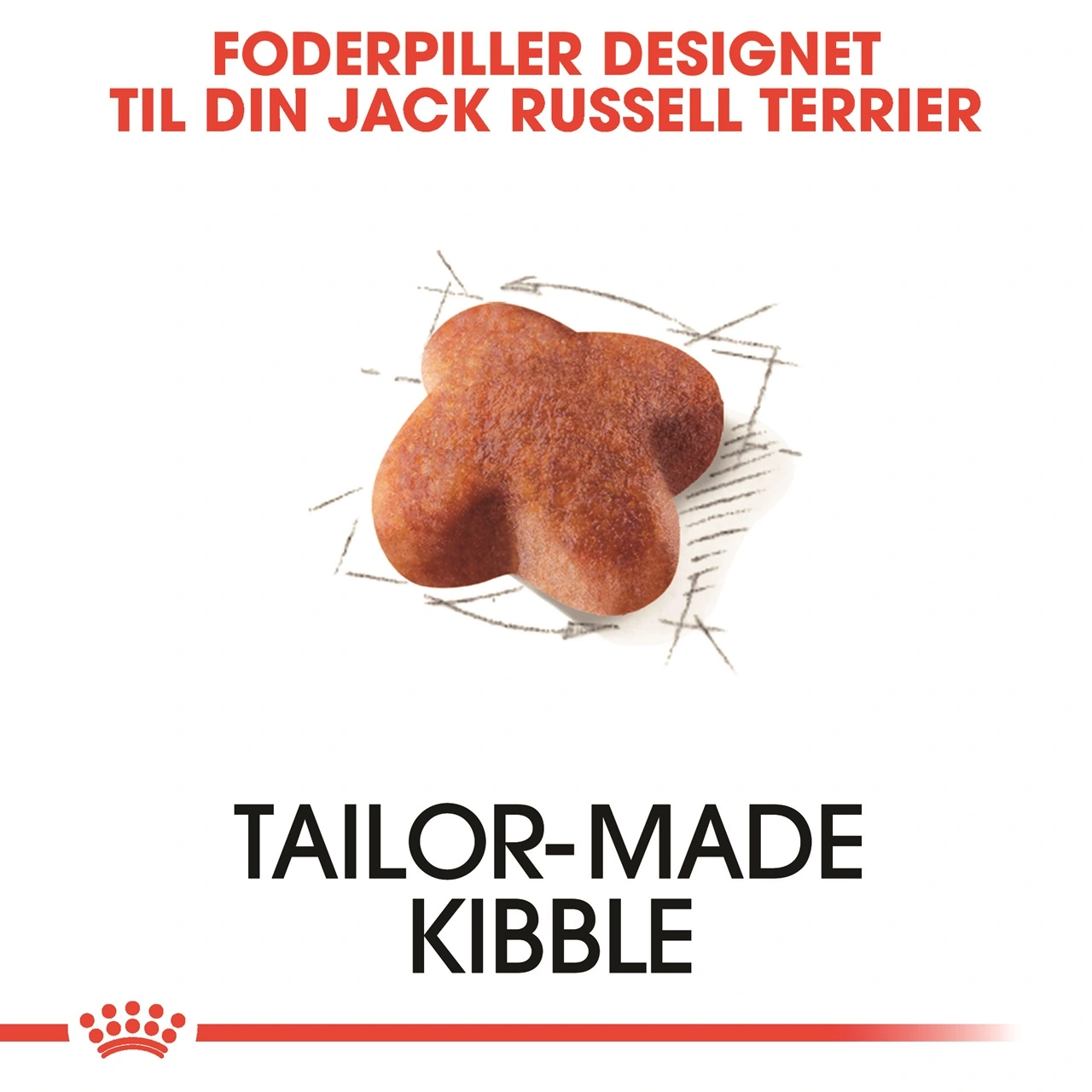 Royal Canin Jack Russell Adult 1,5 kg - tørfoder til voksne hunde